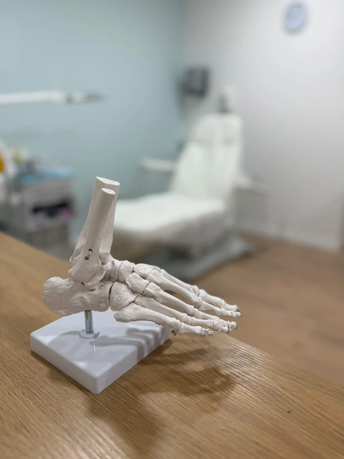 Maqueta del esqueleto del pie sobre una mesa de madera, con el sillón de podología al fondo. Clínica Paula Vega, Leganés