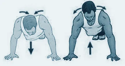 Ilustración de flexiones escapulares con flechas que indican el movimiento de los omóplatos